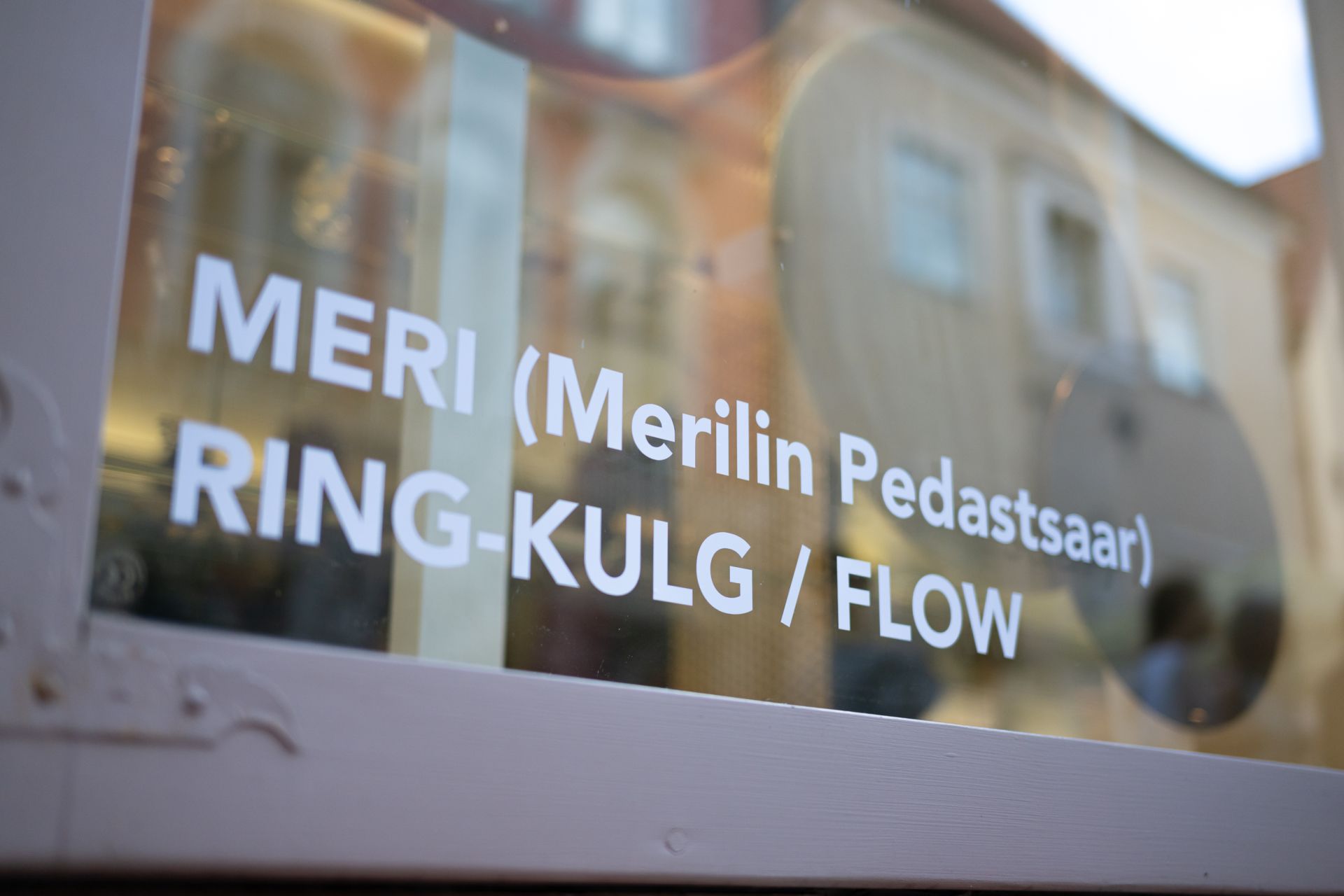 Paatinamaalingud MERI